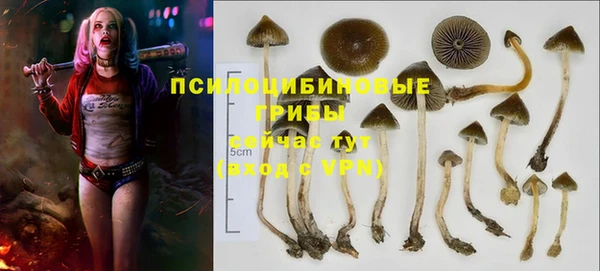 гашиш Касимов