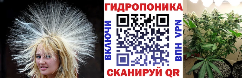 Купить закладки Гусиноозёрск Бошки Шишки тримм